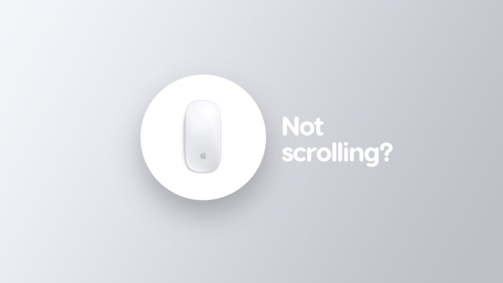 Fix Magic Mouse not scrolling issue.